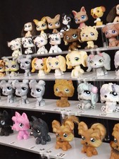 LPS chiens, chiots littlest