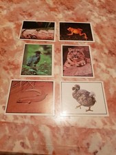 images panini WWF animaux à