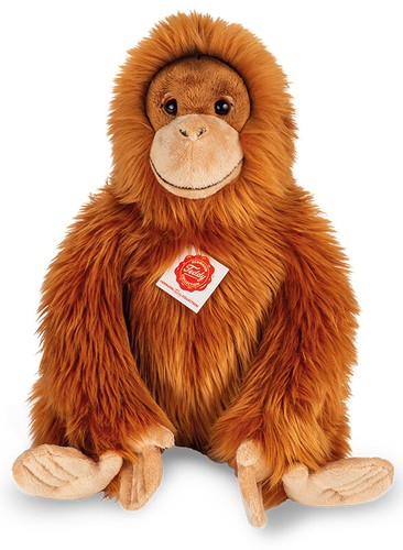 Orang outan singe par teddy - par,