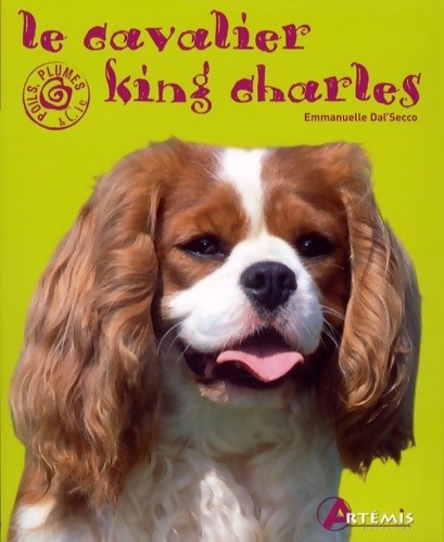 Cavalier king charles - king,