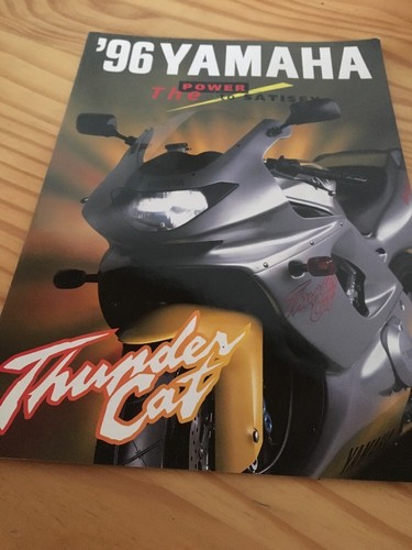 Yamaha yzf600r 1996 thundercat - yzf600r,
