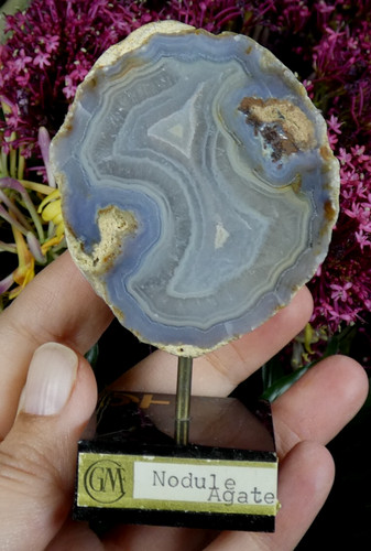 Géode agate bleu - agate, sur