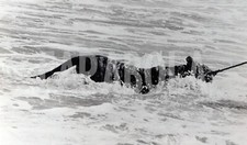 Photo de presse vintage Amérique, Bob Holter Avec Le Ihren Tigre Dans Mer,