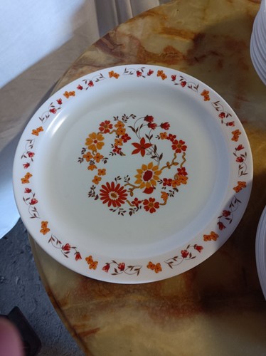 Plat vintage arcopal - plat,