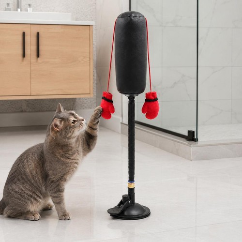 Jouet interactif chat boxe - chat,