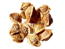 Petite Pimprenelle -