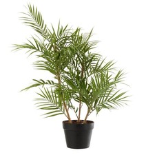 Plante Artificielle "Palmier en Pot" 84cm Vert