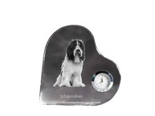 Berger hollandais horloge en