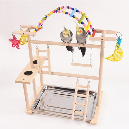 Parrot playstand - playstand,