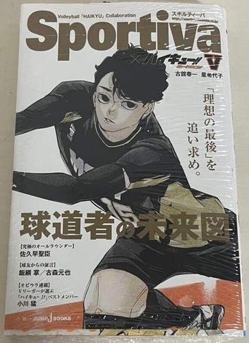 Haikyuu shousetsu ban - !!,