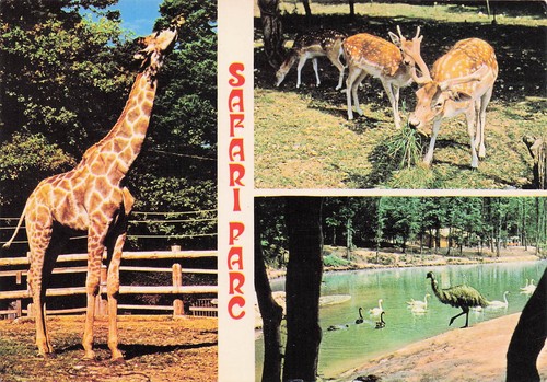 Peaugres safari parc - safari,