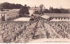 33 - PAUILLAC - SAN33102 - Château Lafite - Agriculture - Vigne - Métier