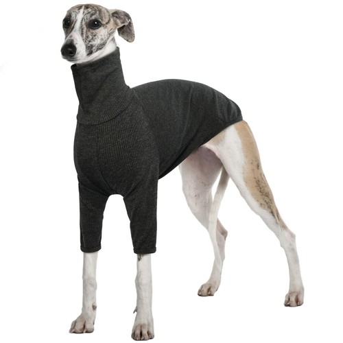 Pull lévrier vêtements - lévrier,,