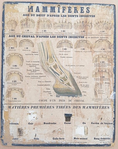 Rare très ancienne - ✶rare✶,