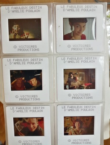 Fabuleux destin amelie poulain - fabuleux,