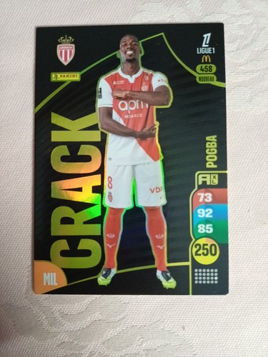 Panini adrenalyn ligue1 - panini,
