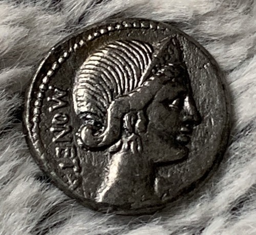 Plaetorius moneta tres rare - l.,