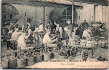 51 MAREUIL SUR AY - ste