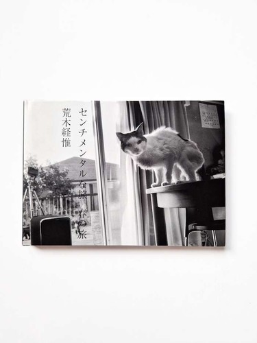 Sentimental journey spring - journey:,