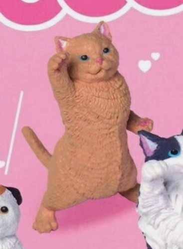 Yell nyaoooo mini - nyaoooo!2, cat