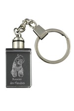 Chien traîneau flamand - chien, de