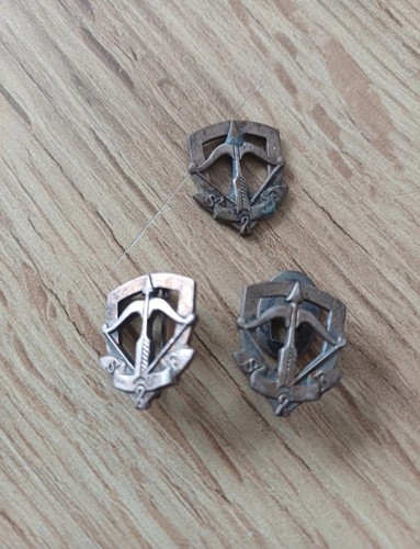 Lot insignes éclaireur - lot,