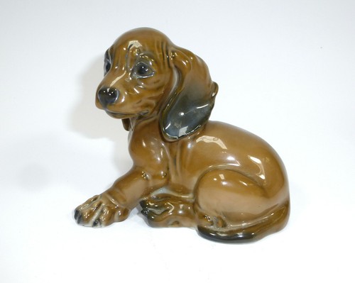 Chiot chien teckel rosenthal - chiot,