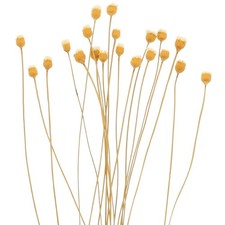  20 Pcs Baton De Diffuseur