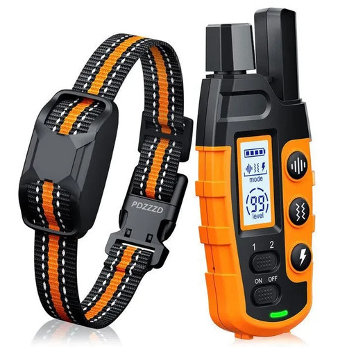 Collier dressage pour chien - collier,