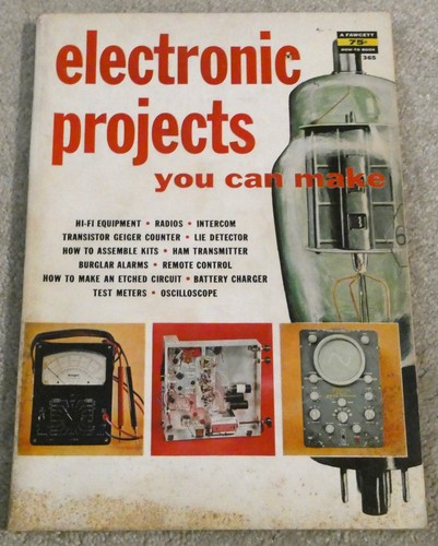 Electronic projects you can - electronic,