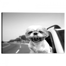 Cadre Imprimé Sur Toile Chien