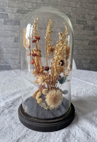 Globe cloche verre avec - cloche, en