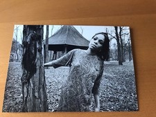 LEE CHAMBERLIN  - PHOTO PRESSE ORIGINALE 13x18cm