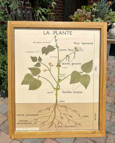 Ancienne affiche scolaire - affiche,