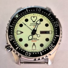 Citizen Automatic Diver's