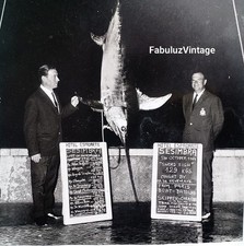 OLD VINTAGE PHOTO 1964 RECORD