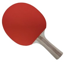 Raquettes de ping-pong