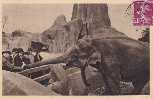 Carte postale ancienne - , paris
