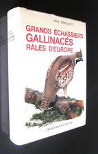 Ornithologie grands - :,
