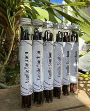 10Gousses de VANILLE BOURBON DE MADAGASCAR -Gourmet - Taille 16-18cm- Tube