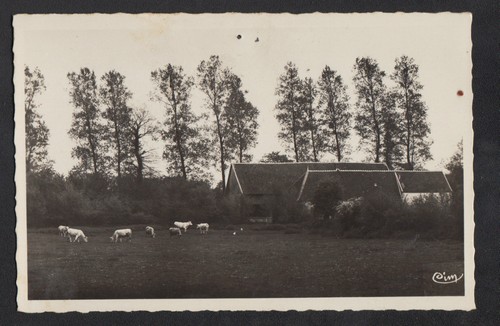 Saint amand puisaye - saint-amand-en-puisaye, (58)