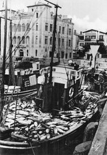 64 Saint-Jean-de-Luz retour de la pêche au thons 6536