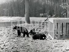 Photo de presse vintage