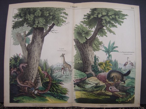 Image lithographie fasoli - image,