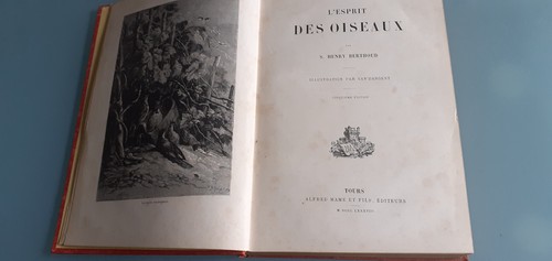 Esprit des oiseaux - des,