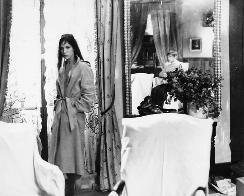 Jane birkin diable coeur - birkin, au