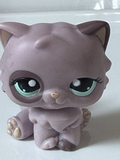 Petshop Chat Persan  1027
