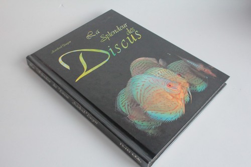 Splendeur des discus - splendeur,