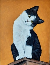 Peinture chat noir et blanc