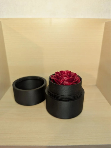 Rose éternelle boîte - rose,